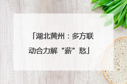 湖北黄州：多方联动合力解“薪”愁